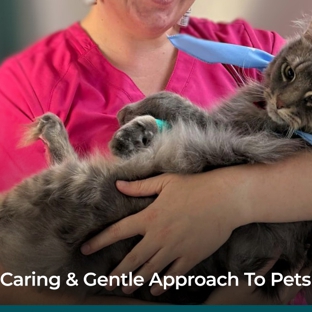 Grange Veterinary Clinic. Caring & Gentle Approach To Pets