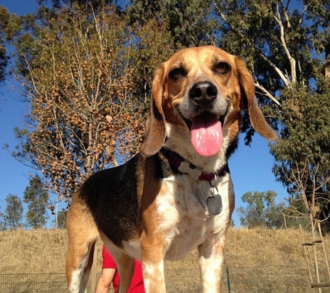 Watson Dog Park - San Jose, CA