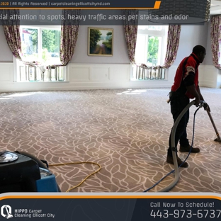 Hippo Carpet Cleaning Ellicott City - Ellicott City, MD. DEEP CARPET & UPHOLSTERY CLEANING