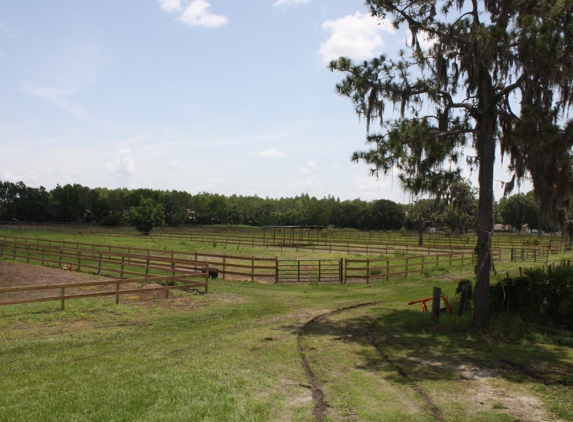 Huntsville Equestrian Center - Odessa, FL