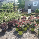 Southern Nurseries - Garden Centers