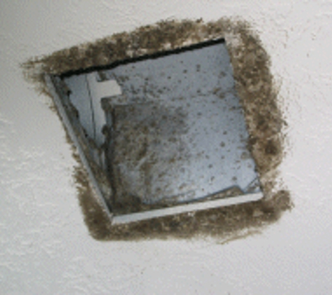 Indoor Environmental Testing Inc - Madison, WI. Mold around HVAC vent