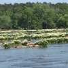 Lansford Canal State Park gallery