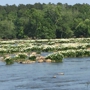 Lansford Canal State Park