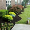 Blossom Gardening & Landscaping gallery