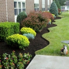 Blossom Gardening & Landscaping