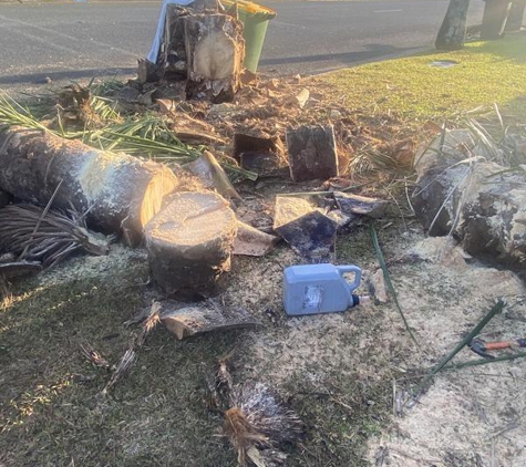 Bull's Tree Service - Whitfield, QLD
