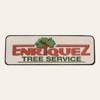 Enriquez Tree Service & Landscaping LLC. gallery