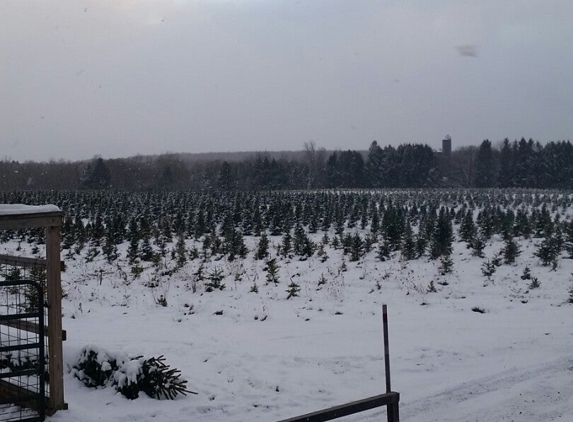 Granger's Christmas Farm - Mexico, NY