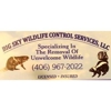 Big Sky Wildlife Control Services LLC gallery