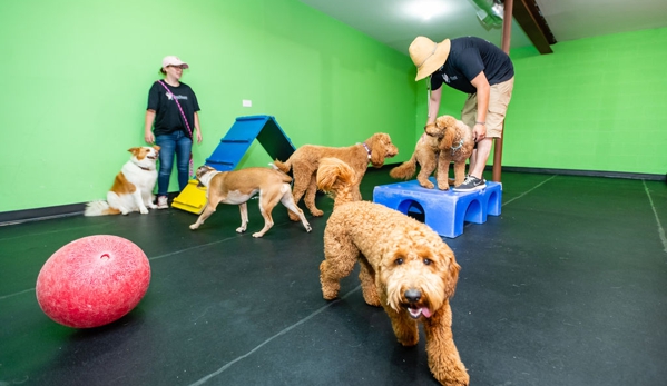 Pupstars Pet Care - Chicago, IL. Over 10,000 square feet of indoor & outdoor play spaces