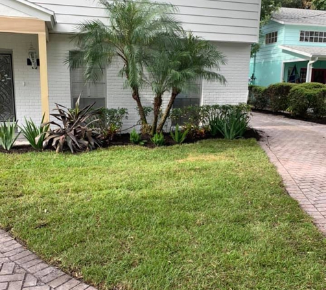 Native Landscape & Drainage - Tampa, FL