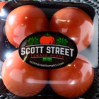 Scott Street Tomato
