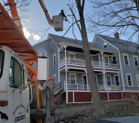 Anson Baldwin Tree Care LLC - Vernon, VT