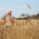 Flying Feathers - Hunting & Fishing Preserves