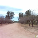 Arizona Pistachio Nursery - Nurseries-Plants & Trees