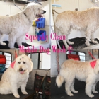 Squeaky Clean Mobile Dog Wash