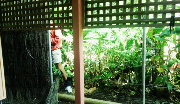 Brush Fencing Taylor Made - Sunshine Beach, QLD