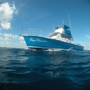 Deep Obsession Charters