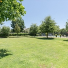 Palo Alto Place