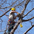 Chop Chop Tree - Tree Service