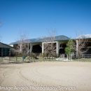 Rock A Bye Ranch - Farms