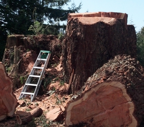 Cutting Edge Tree Service and Solutions - McKinleyville, CA