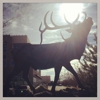 USDA Forest Service SW Region gallery