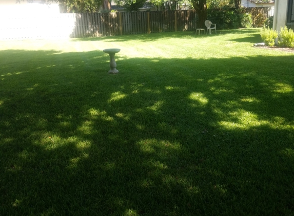 E Cut Lawn Care inc - Palm Bay, FL