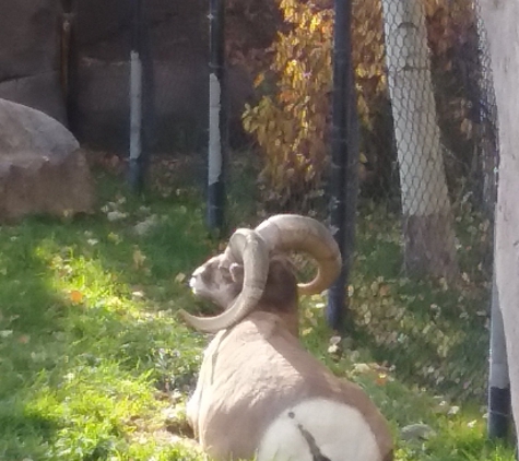 Zoo Montana - Billings, MT