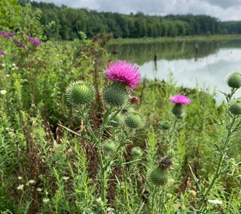 Sandy Ridge Reservation - North Ridgeville, OH