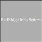 Redridge Irish Setters
