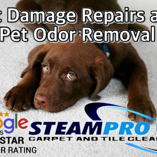 SteamPro Carpet & Tile Cleaning - Jacksonville, FL. PET DAMAGE AND PET ODOR REMOVAL SPECIALIST