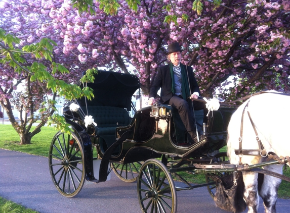 Harrisburg Carriage Company - Annville, PA