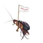 Scott's Termite & Pest Control