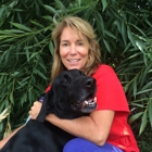 Royal Vista Veterinary Specialists, A Thrive Pet Healthcare Partner