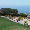 Rancho Palos Verdes Flowers gallery