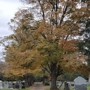 Mount Holly Cemetery Company