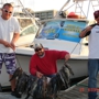 Wise Fishing Charters