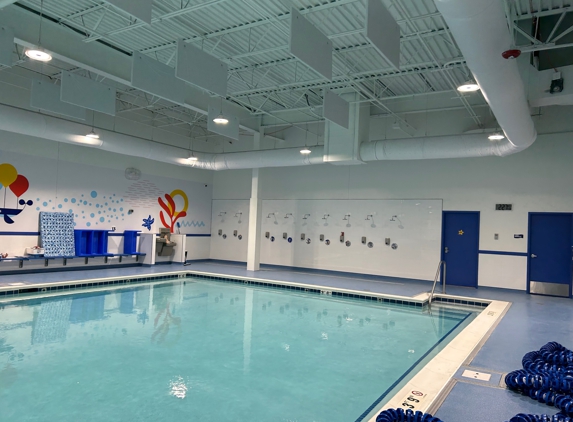 Big Blue Swim School - Glendale Heights, IL