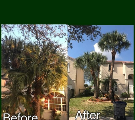 Go Green Affordable Tree Services - Homestead, FL