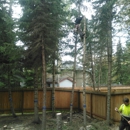 Far North Tree Services - Arborists