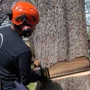 Gardner Tree Service