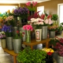 The Flower Cupboard