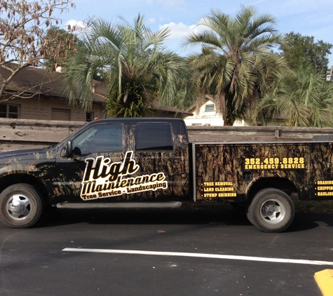 High Maintenance Tree Service - Dunnellon, FL