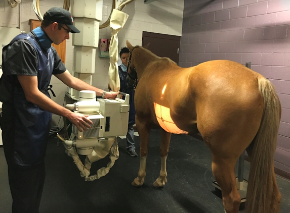 Chaparral Veterinary Medical Center - Cave Creek, AZ