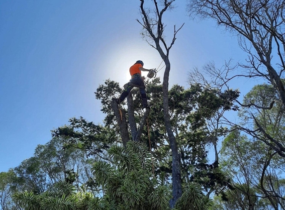 Micks Tree Worx - Coes Creek, QLD