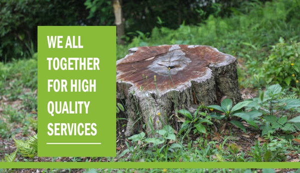 3Way Tree Services Pty Ltd - Malvern East, VIC. We all together for high quality services.
