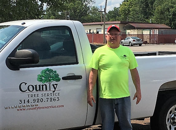 County Tree Service - Valley Park, MO