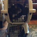 NOVA Cat Clinic - Pet Grooming